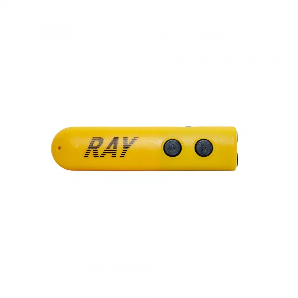 Электронная трость RAY