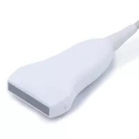 01 (2)