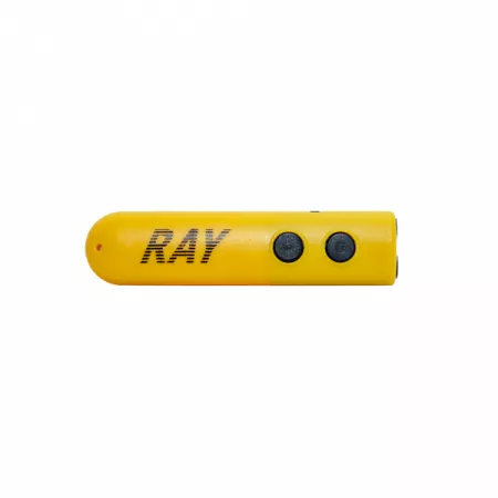 Электронная трость RAY